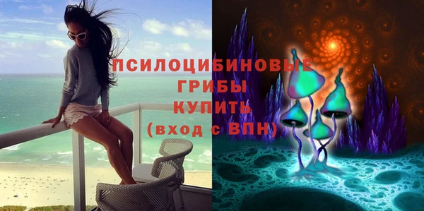 мескалин Алексин