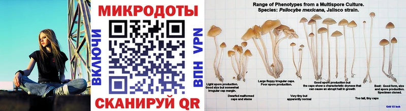 OMG ССЫЛКА  Алупка  Псилоцибиновые грибы мицелий 